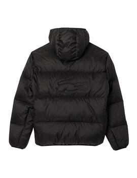 Chaqueta Blouson Lacoste