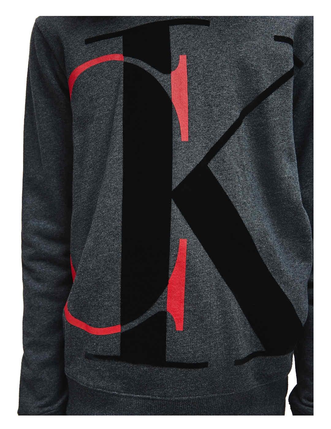 Sudadera con capucha Exploded Monogram Calvin Klein