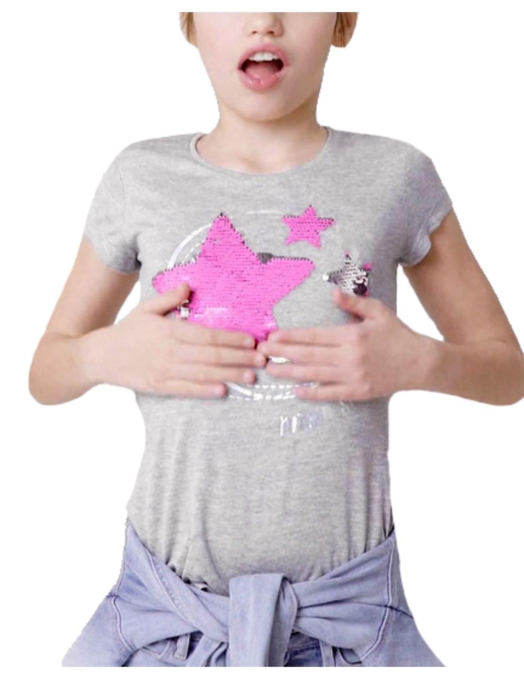 Camiseta gris Nunavut Desigual