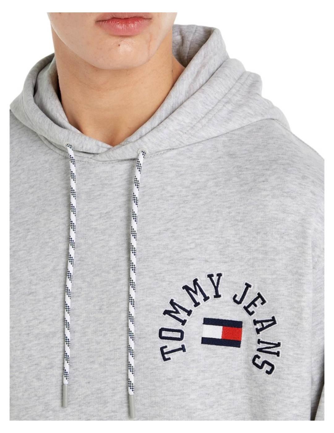 Sudadera Reg Arched Logo Hoodie Tommy Jeans