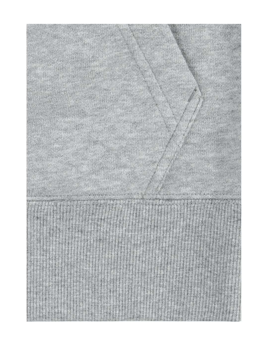 Sudadera  Pull Over Hoody Grey Levi´s