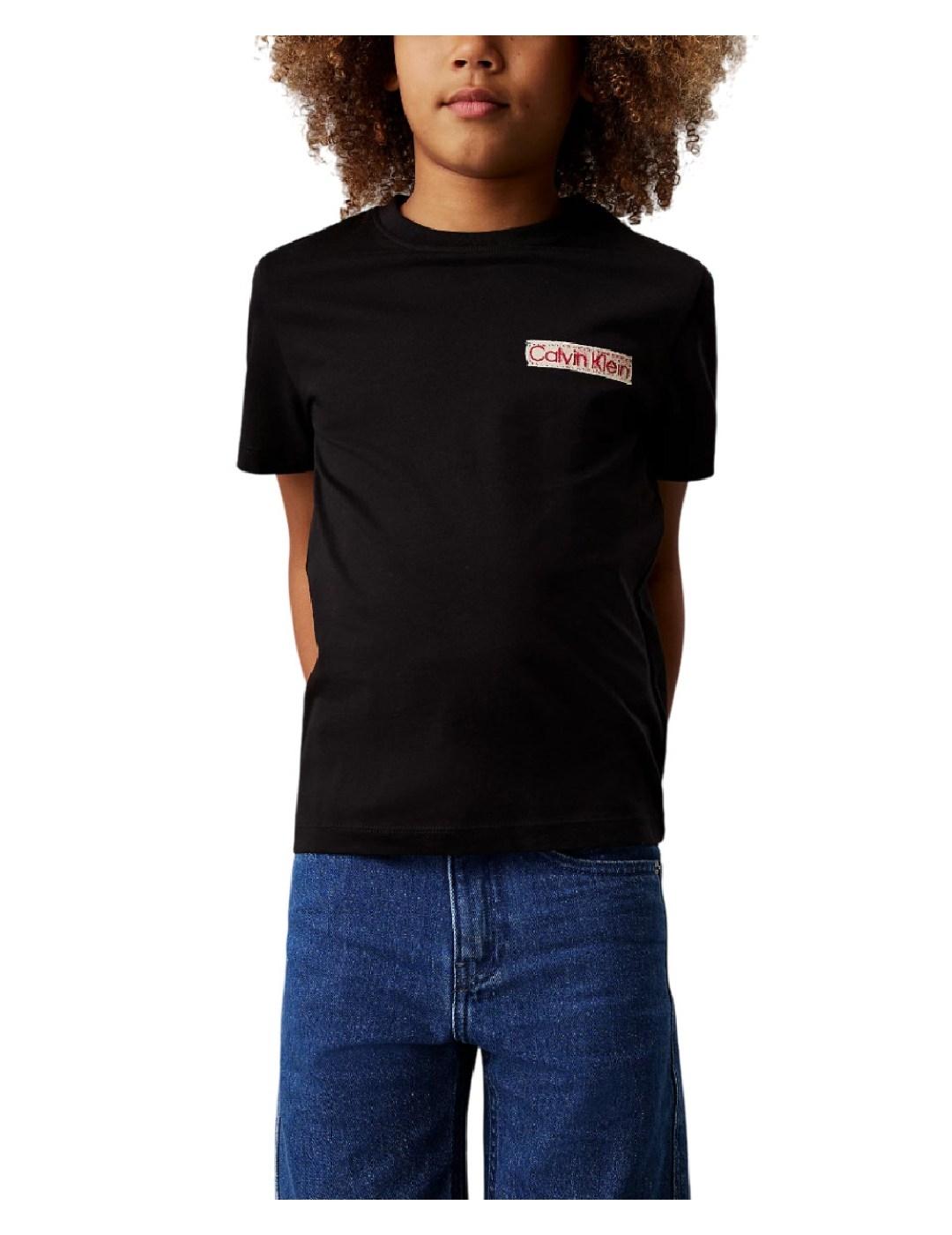 Camiseta Graphic Calvin Klein