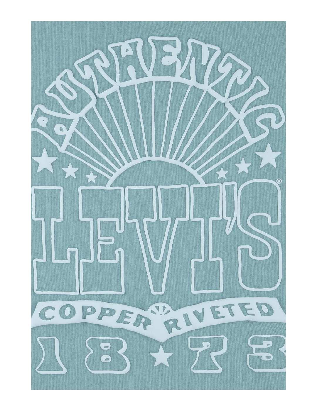 Camiseta Sun Burst Levi´s