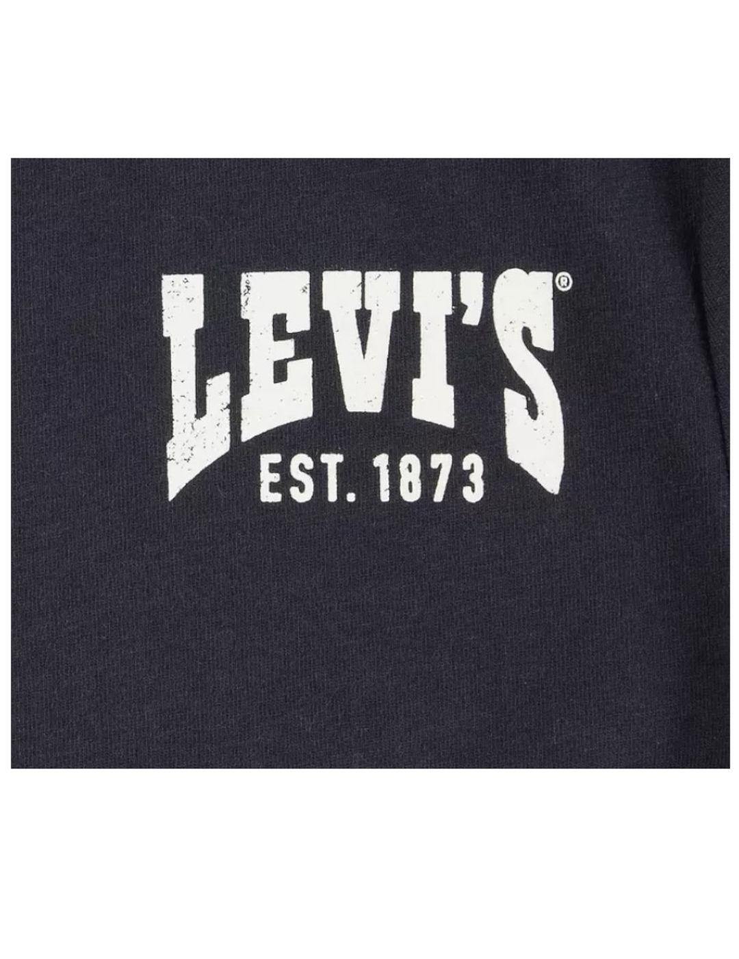 Camiseta Valley View Levi´s