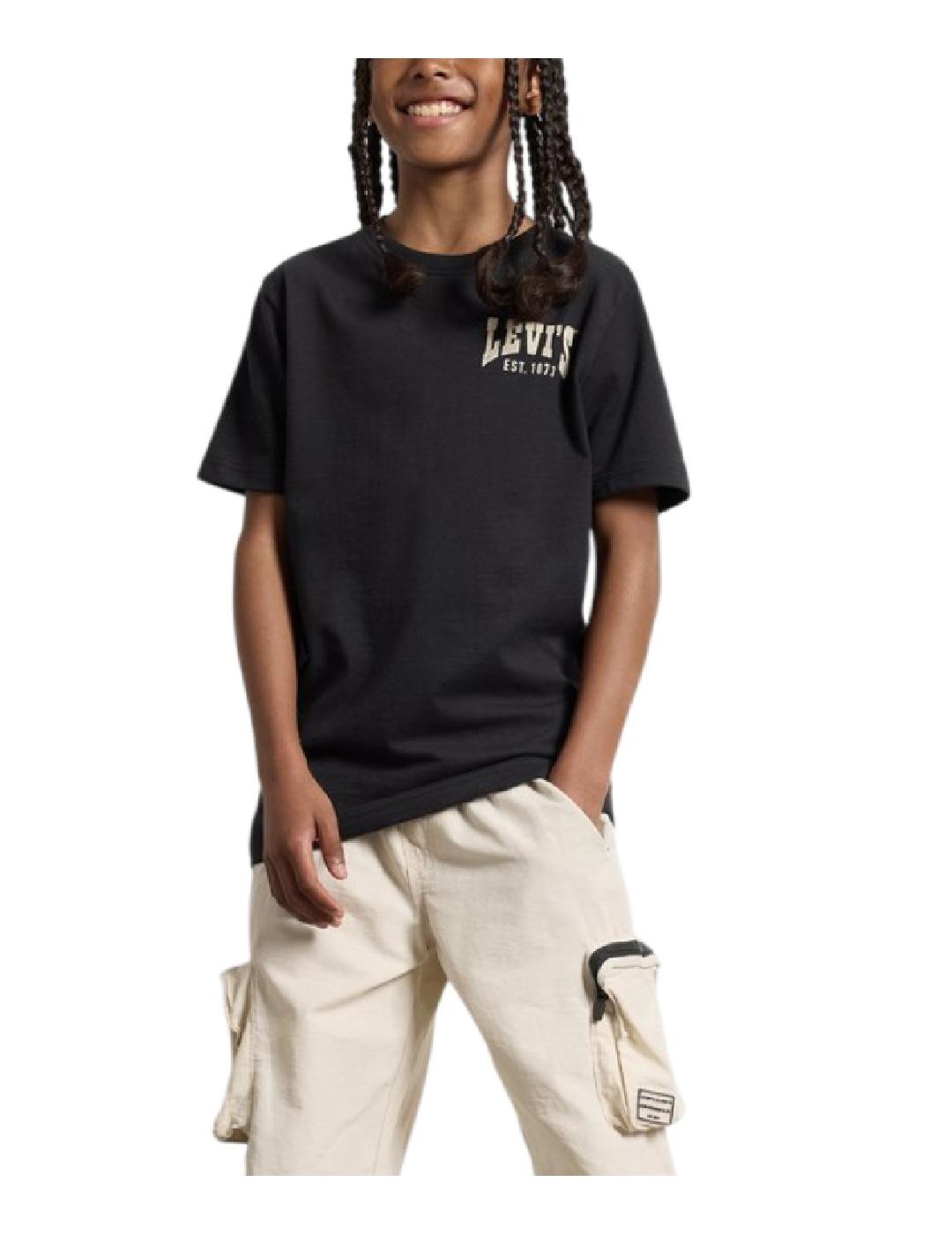 Camiseta Valley View Levi´s