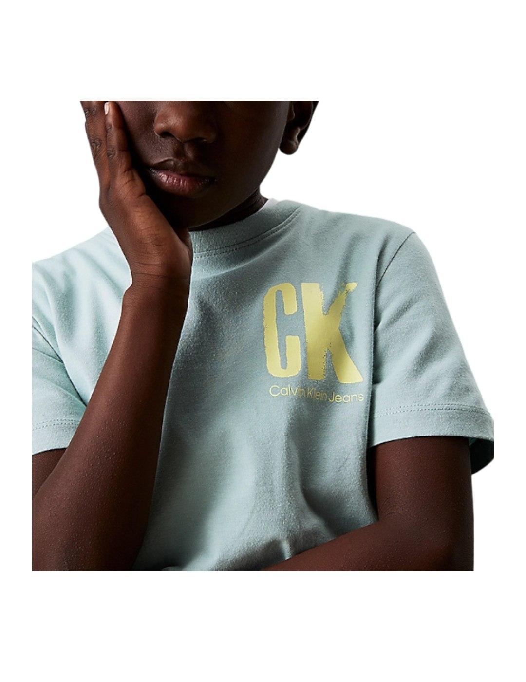 Camiseta Chest Surf Calvin Klein