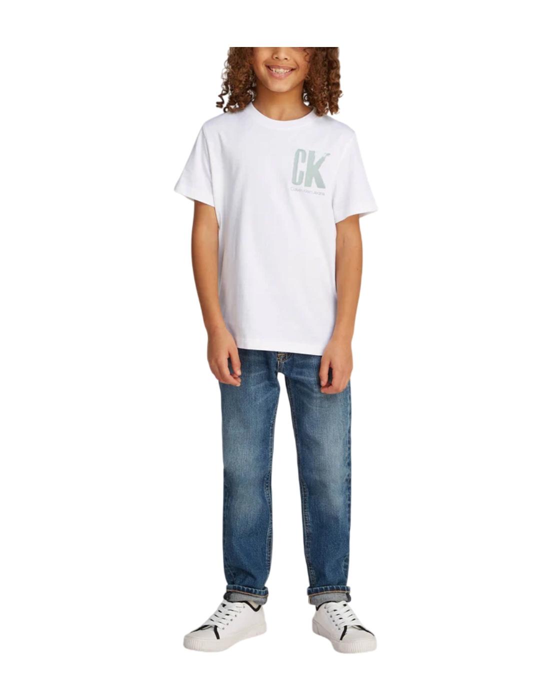 Camiseta Chest Surf Calvin Klein