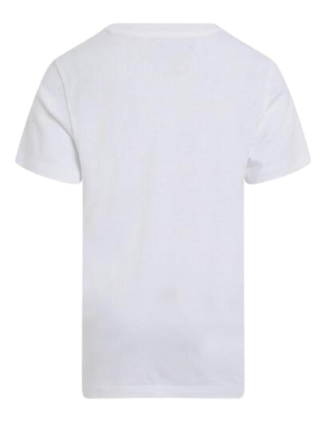 Camiseta Chest Surf Calvin Klein