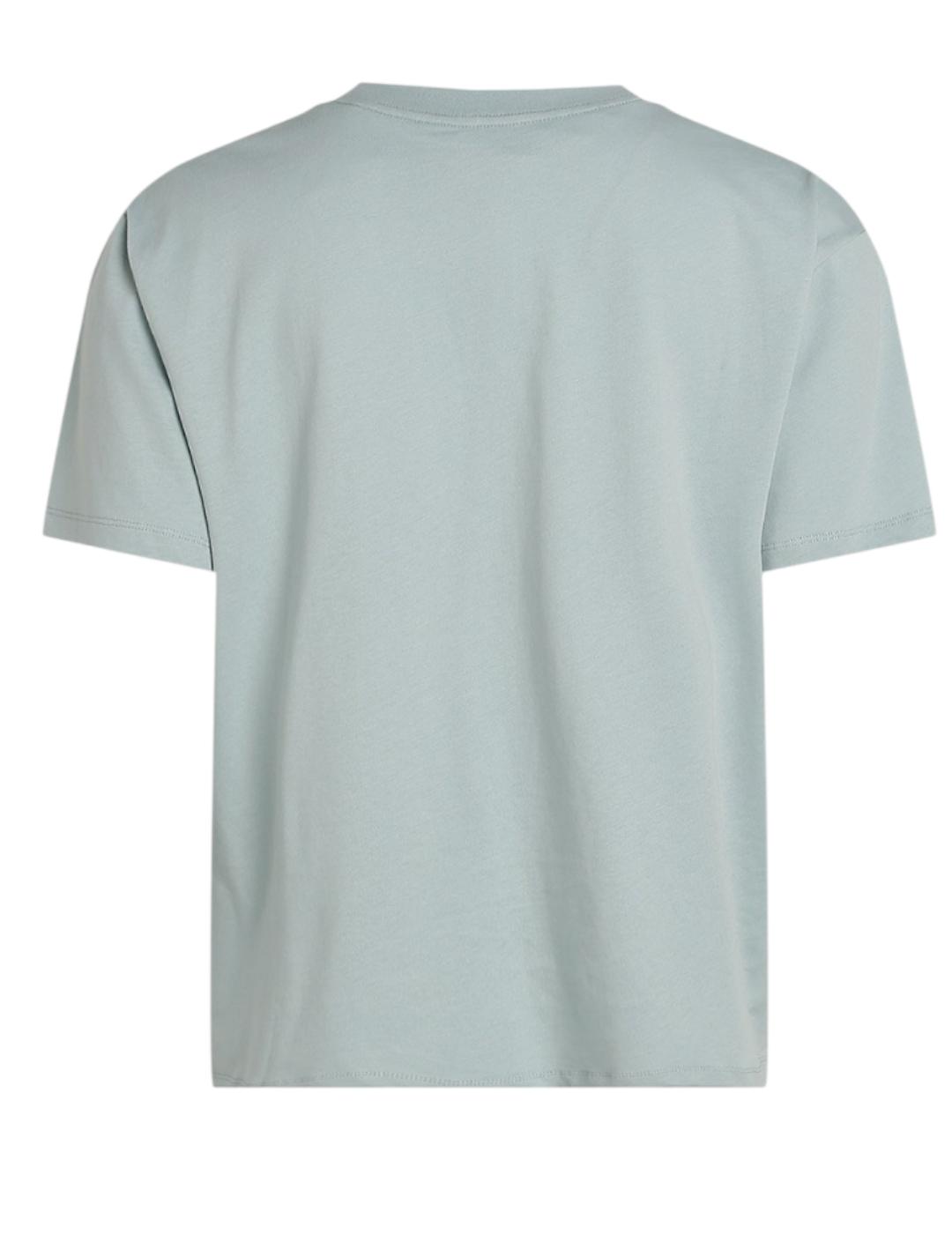 Camiseta Flower Graphic Calvin Klein