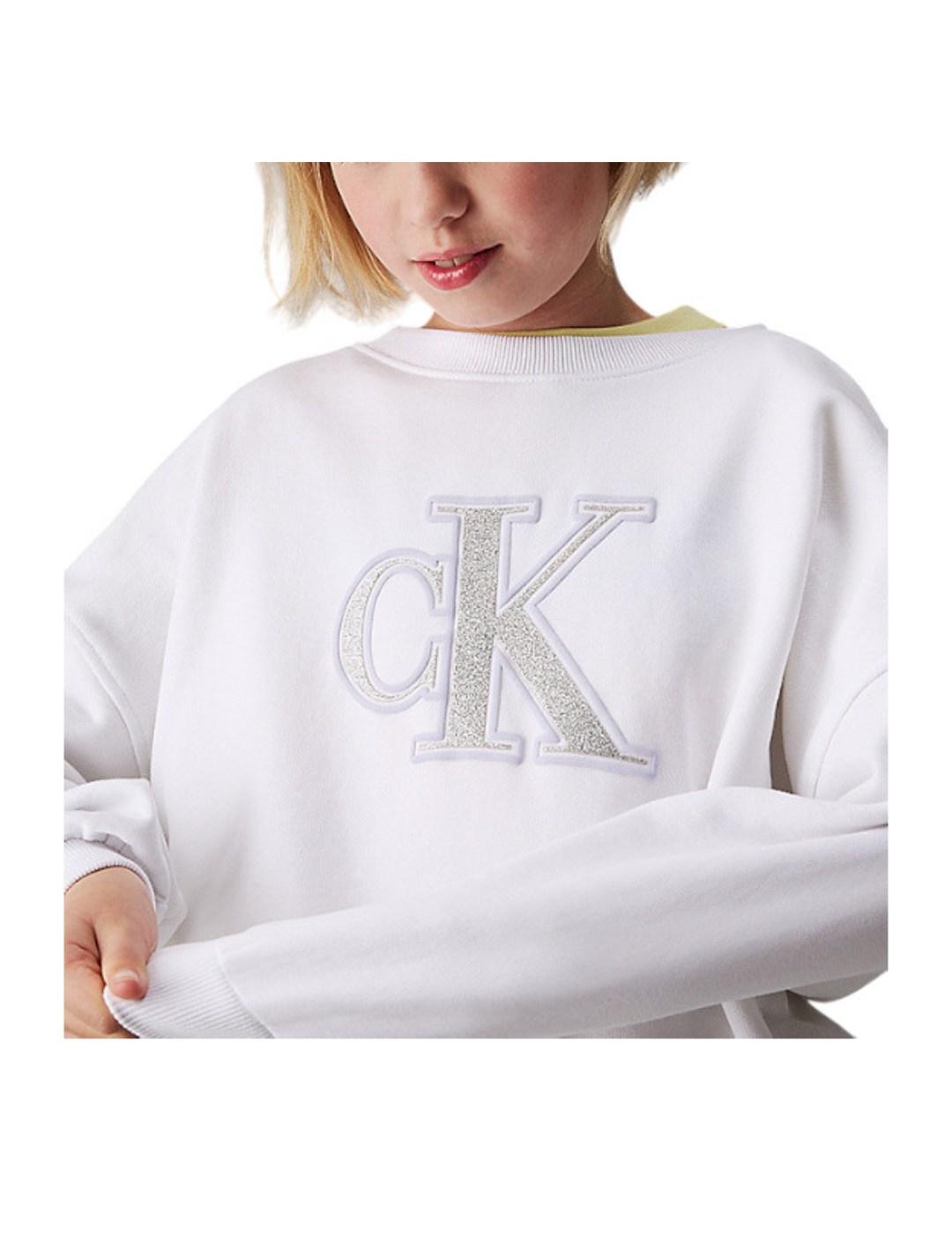 Sudadera Metalic Calvin Klein