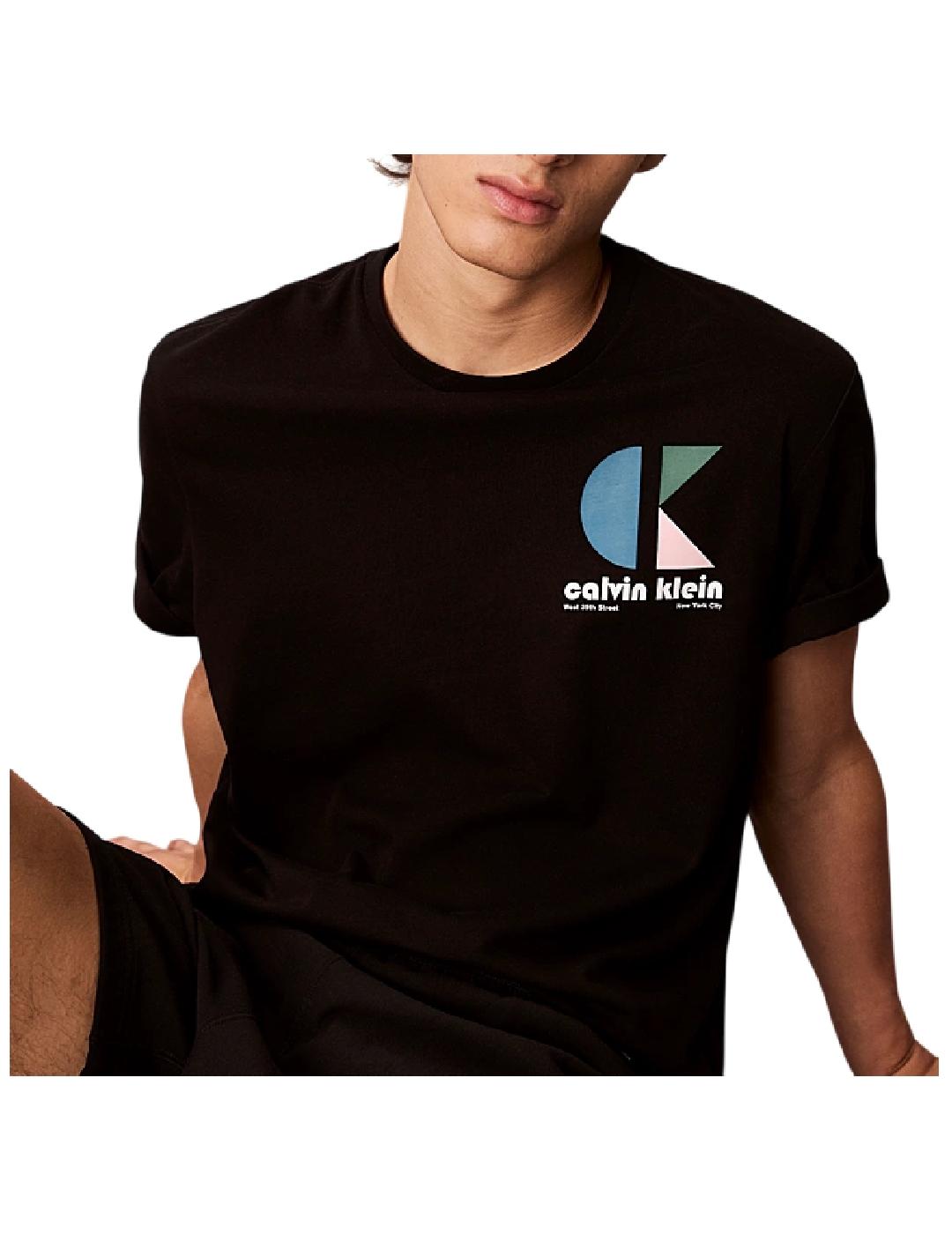 Camiseta SS 20S Calvin Klein