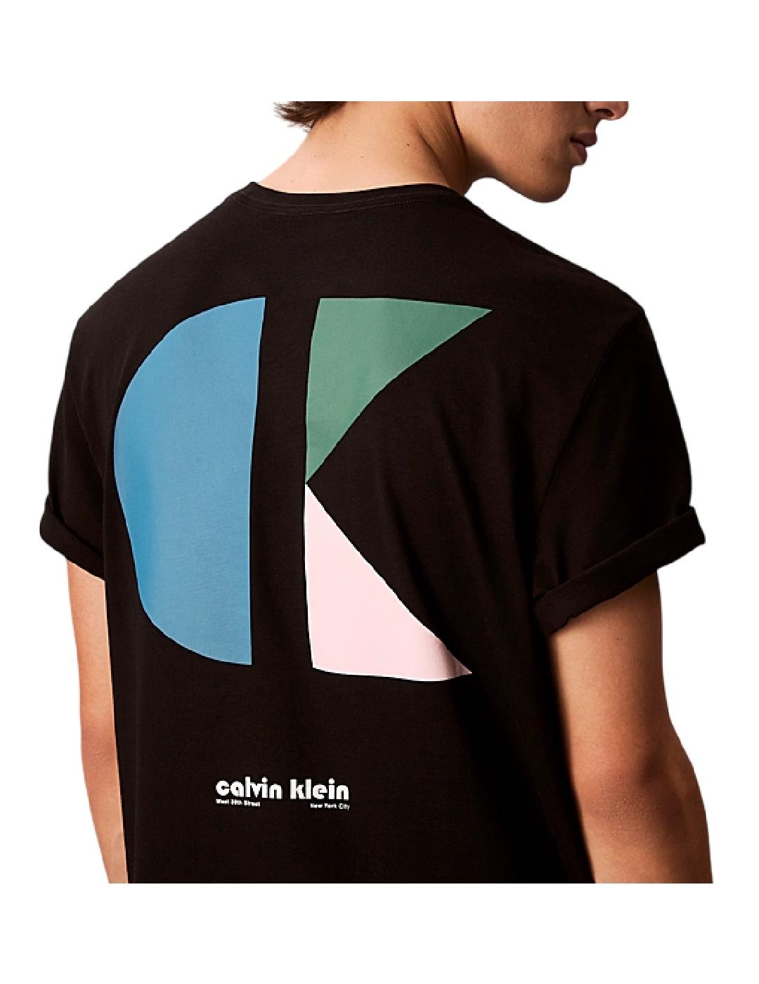 Camiseta SS 20S Calvin Klein