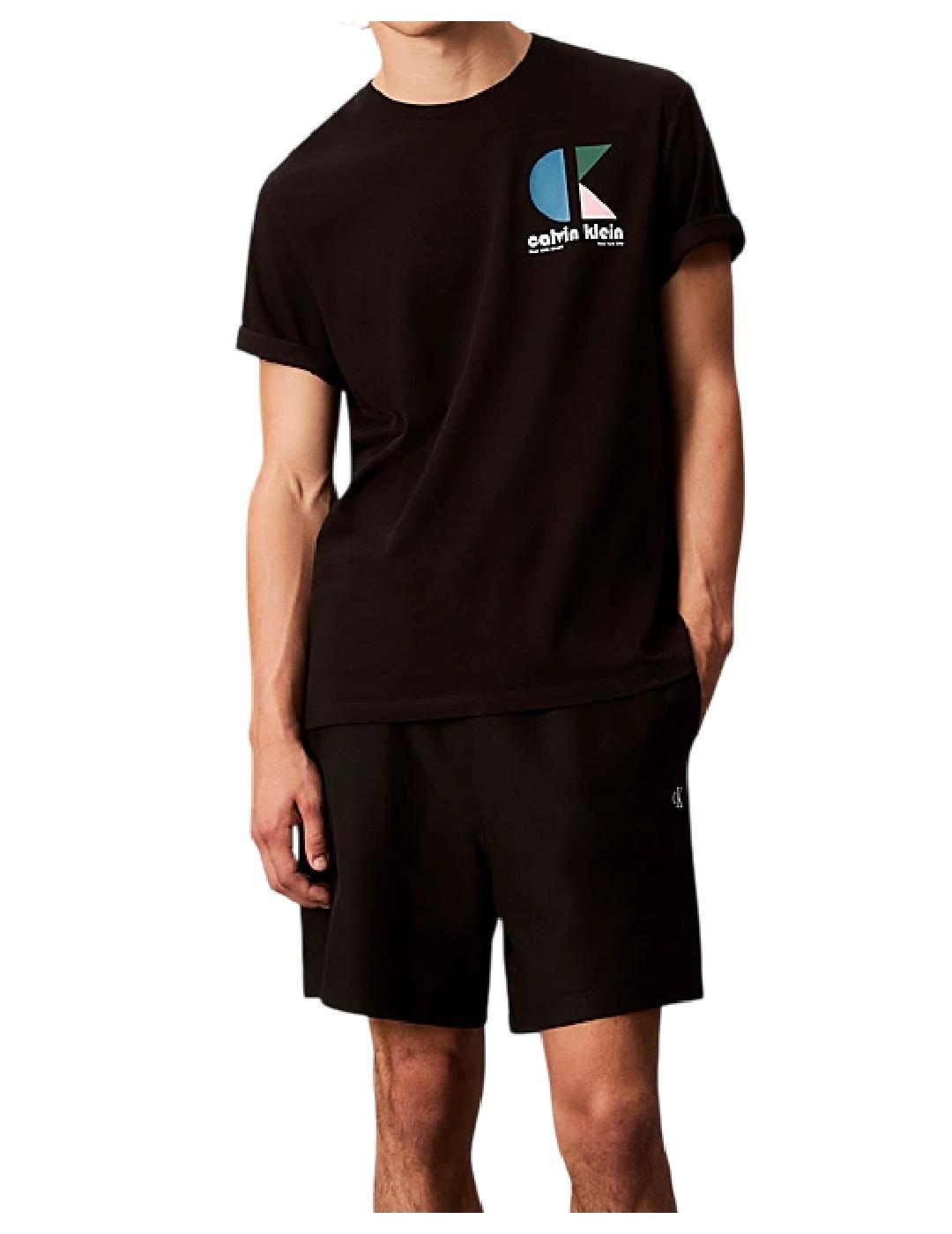Camiseta SS 20S Calvin Klein