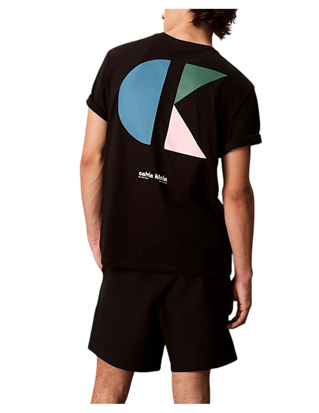 Camiseta SS 20S Calvin Klein