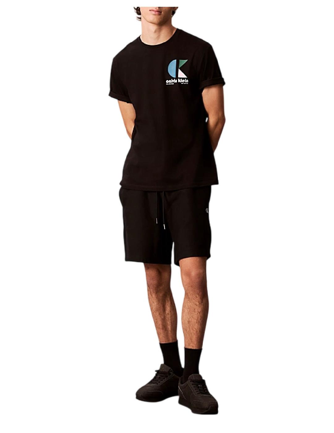 Camiseta SS 20S Calvin Klein