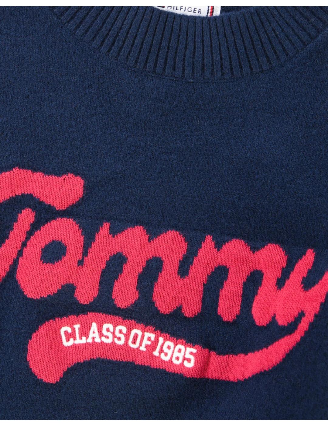 Jersey Logo Tommy Hilfiger