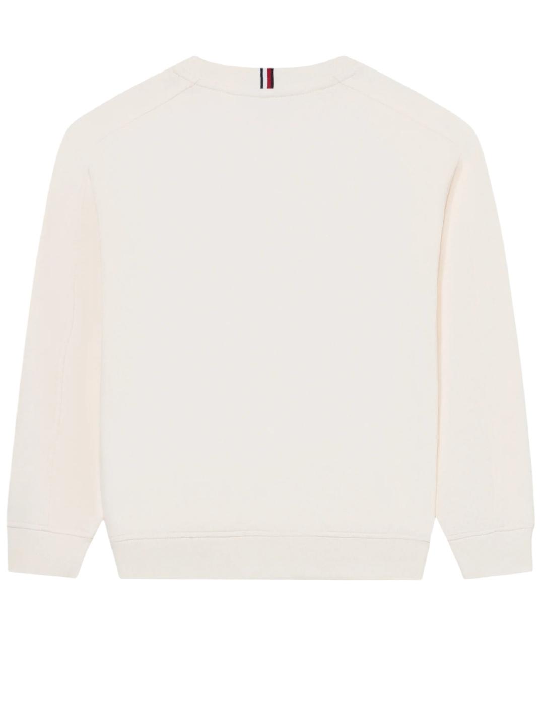 Sudadera Varsity Raised Print Tommy Hilfiger