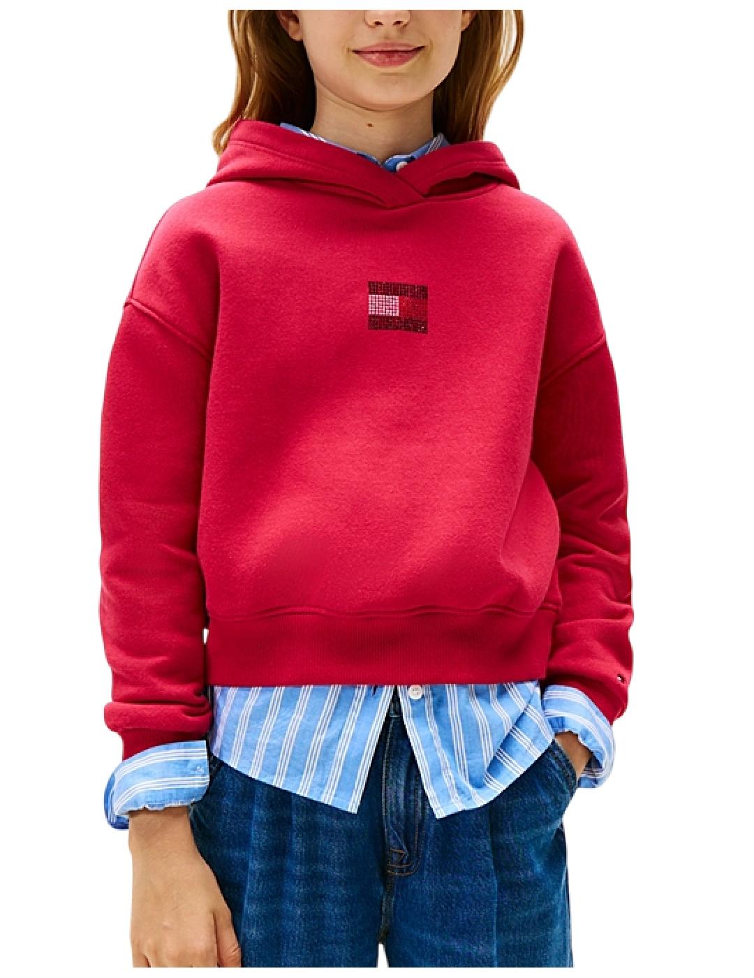 Sudadera Rhine Stone Tommy Hilfiger