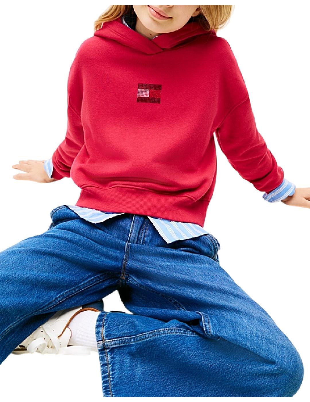 Sudadera Rhine Stone Tommy Hilfiger