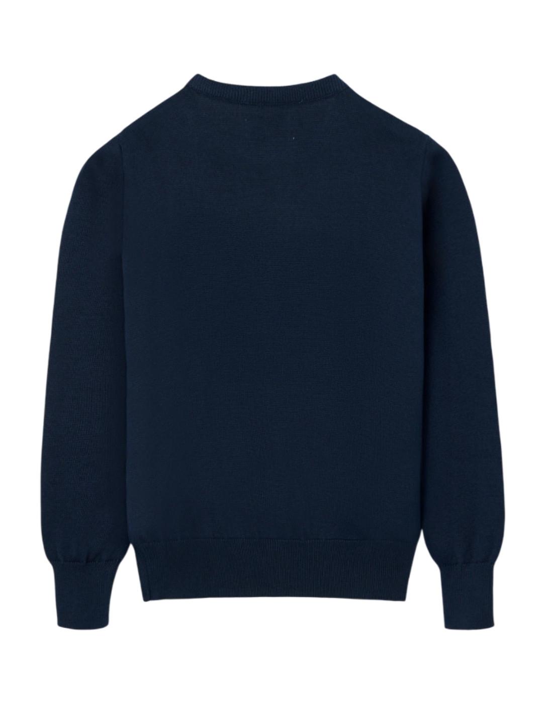 Jersey Dog Azul Silbon