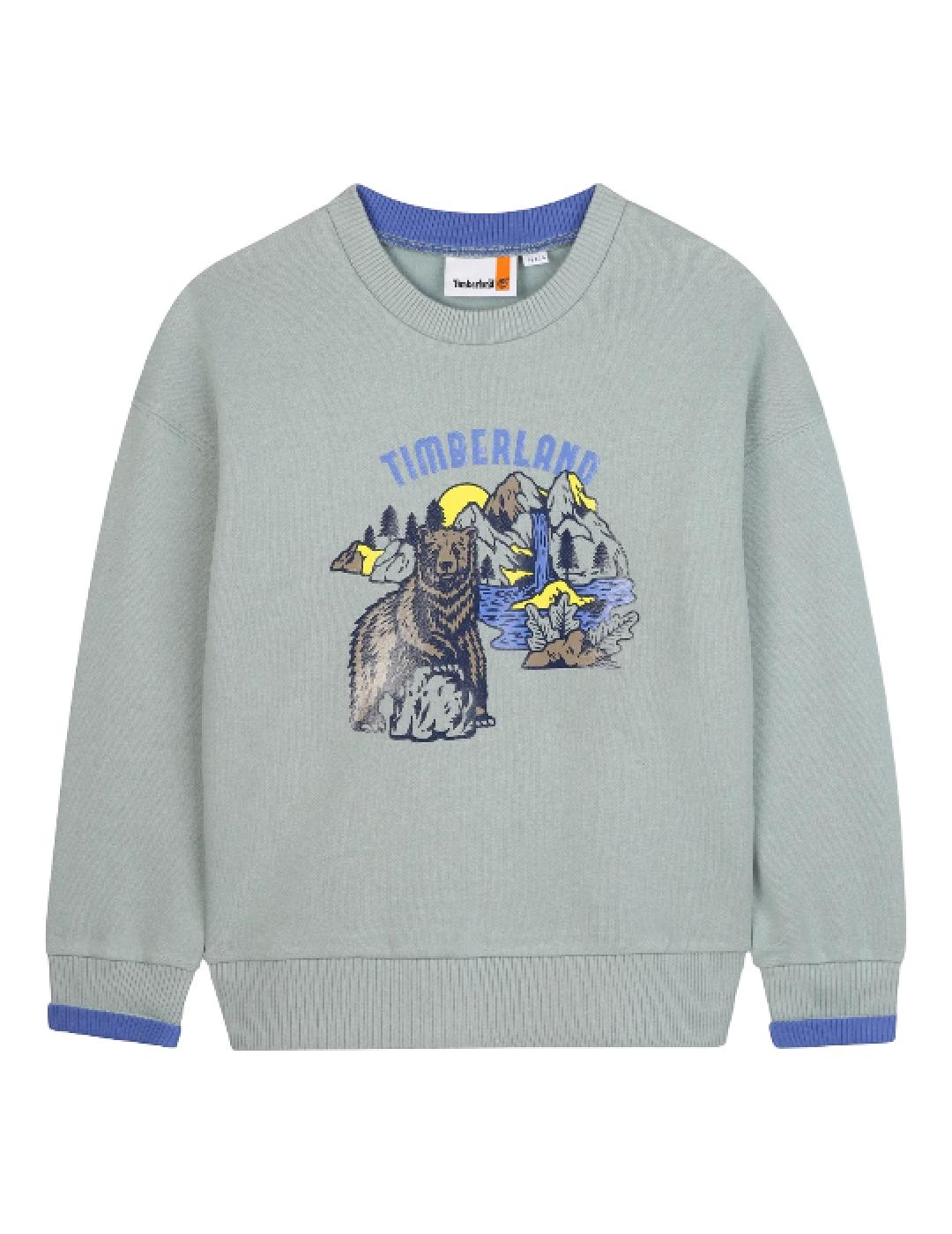 Sudadera Silber Blue Timberland