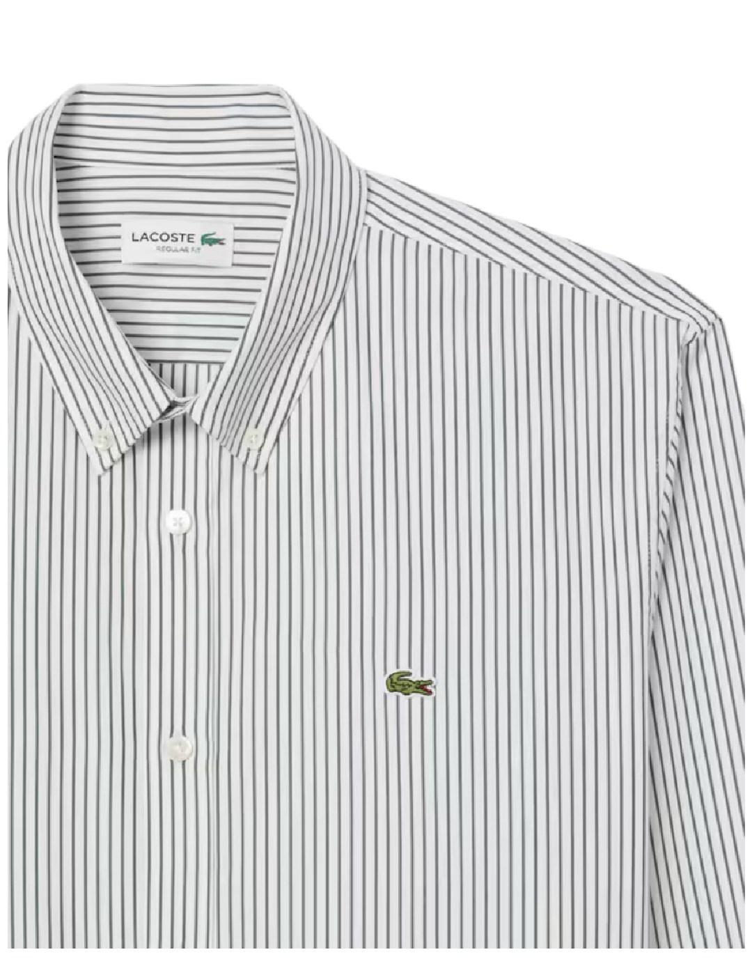 Camisa Lacoste