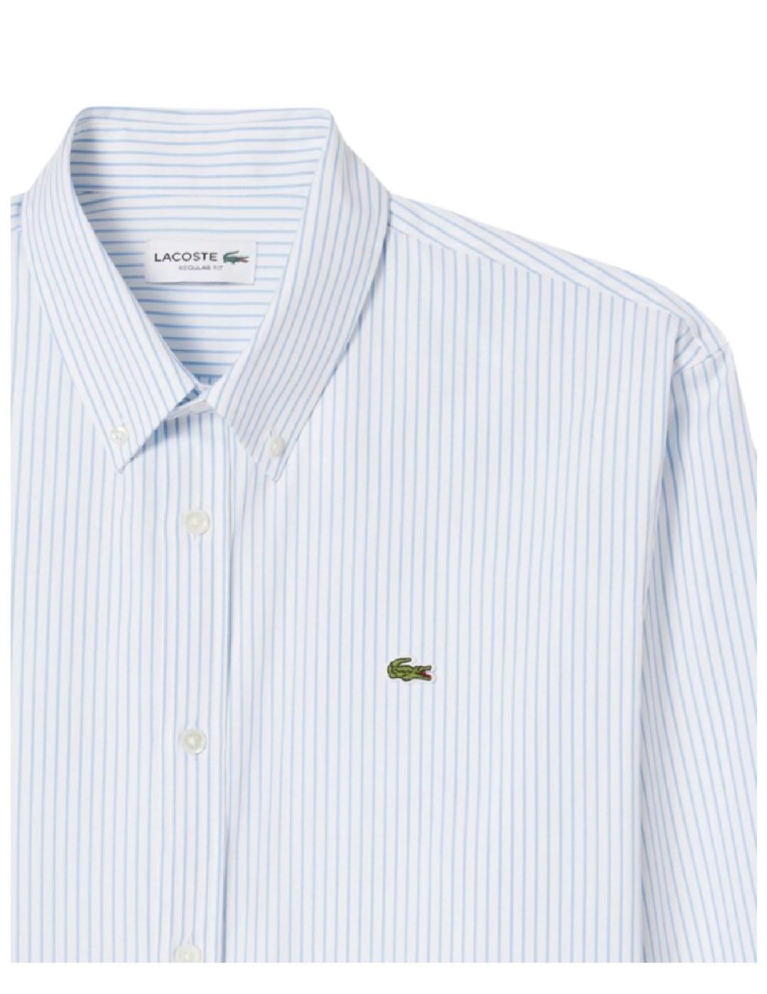 Camisa Lacoste