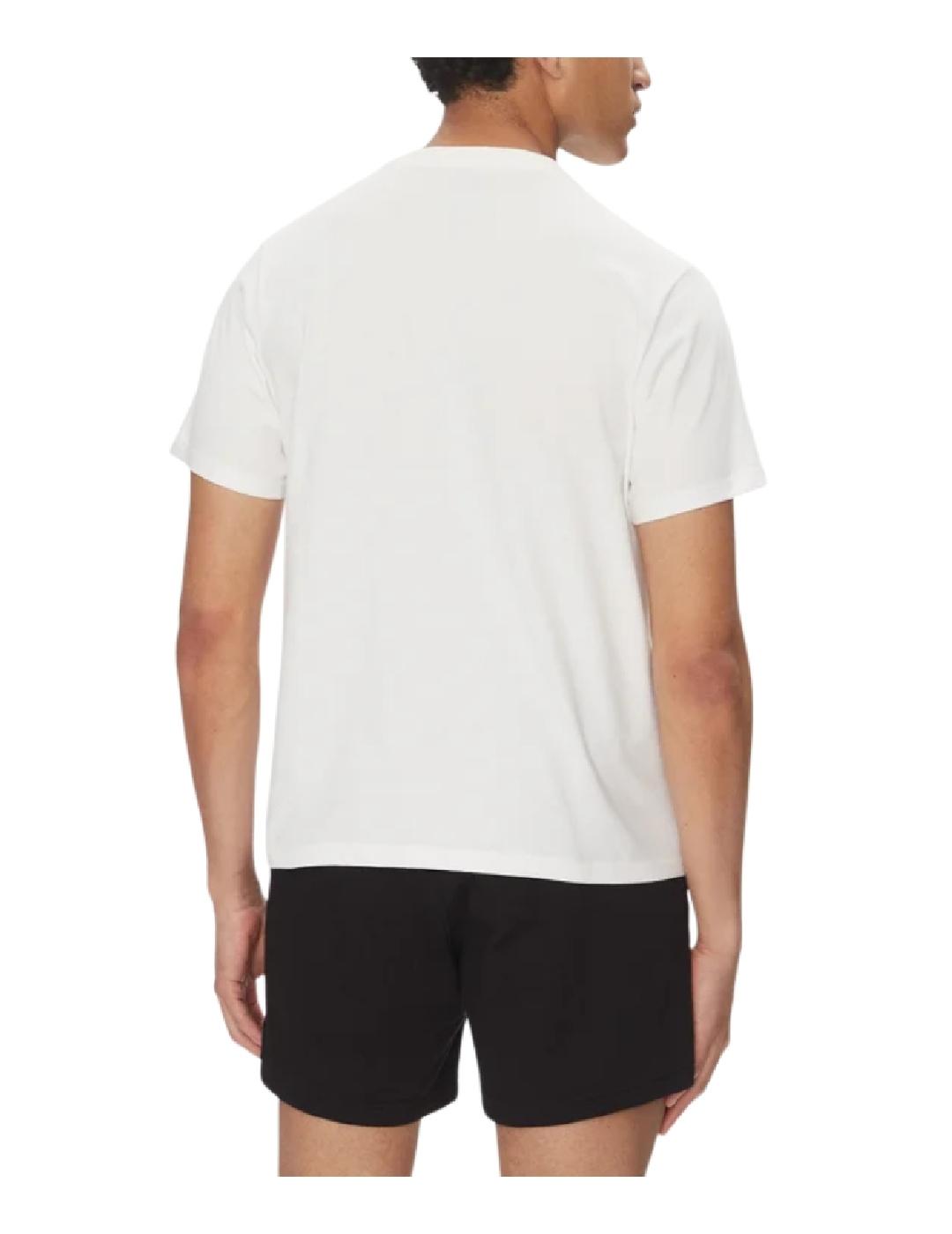 Camiseta Box Helly Hansen