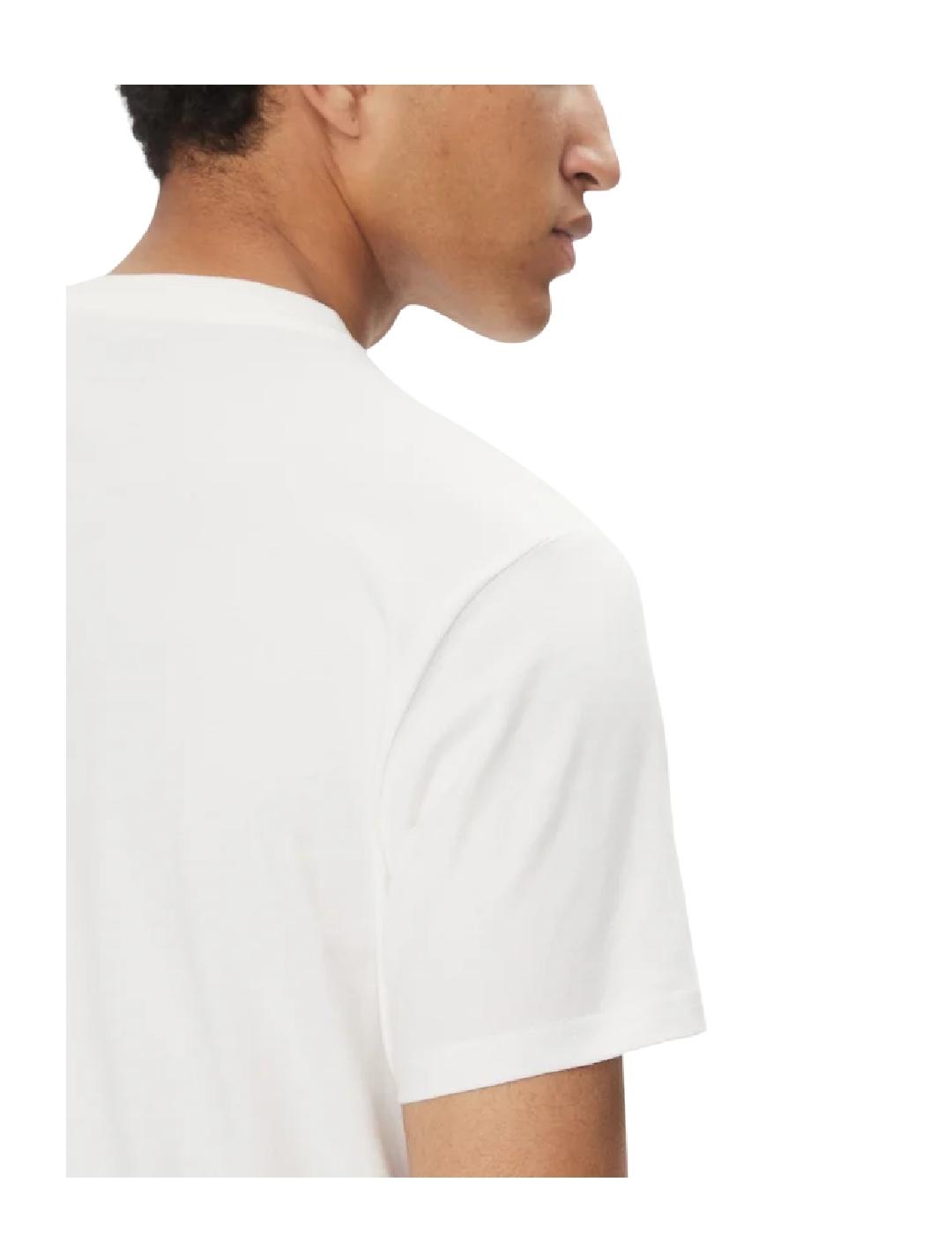 Camiseta Box Helly Hansen