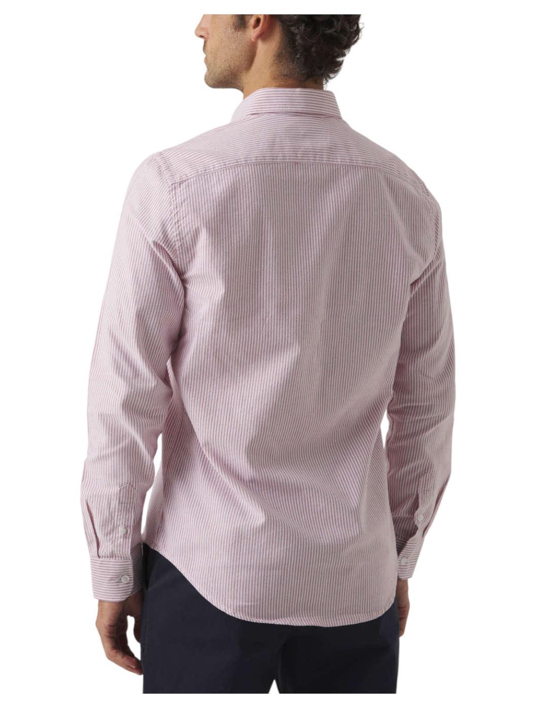 Camisa Oxford Stripes Scotta