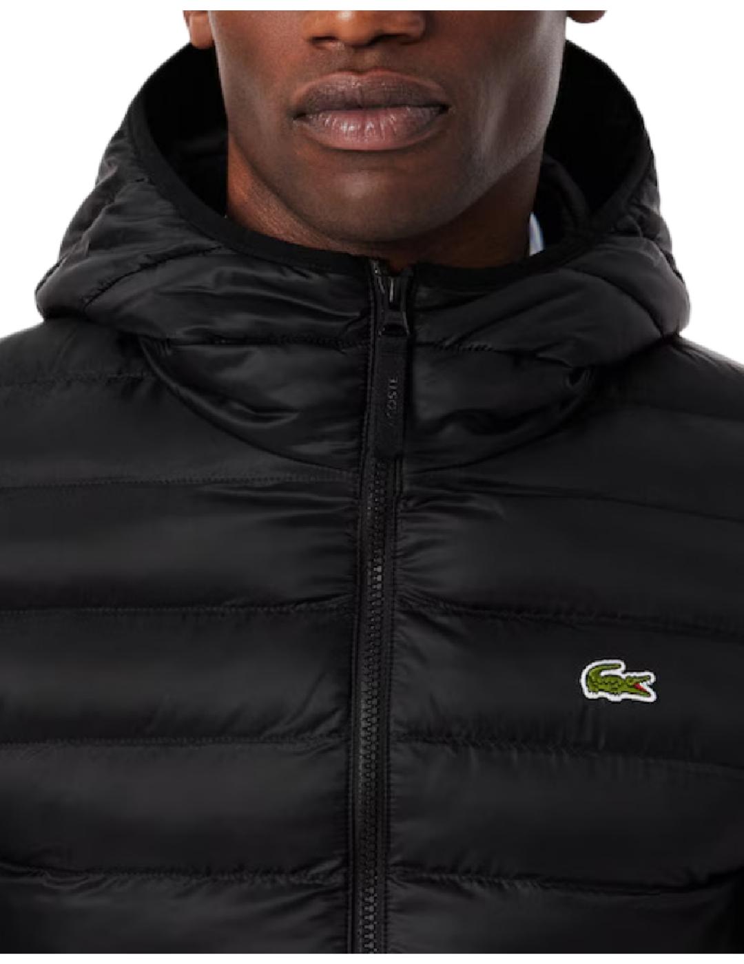 Chaqueta Blouson Lacoste