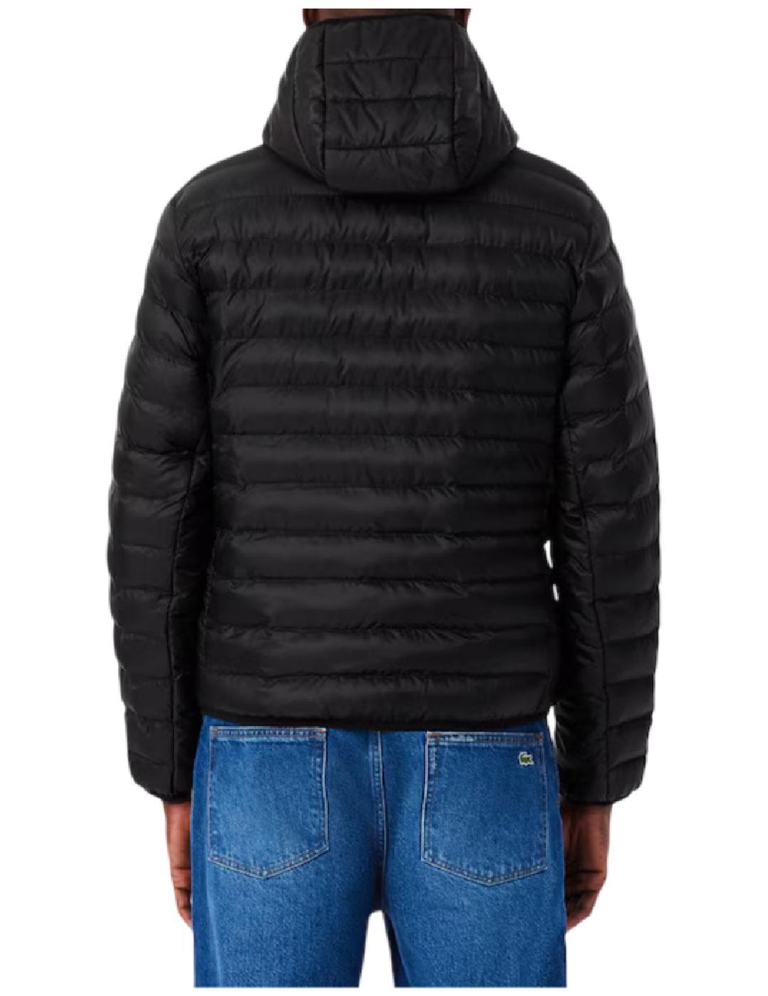 Chaqueta Blouson Lacoste